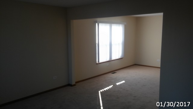 4675 W Tulip Ave, Monee, IL 60449 photo 3