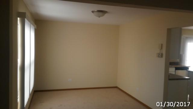 4675 W Tulip Ave, Monee, IL 60449 photo 4