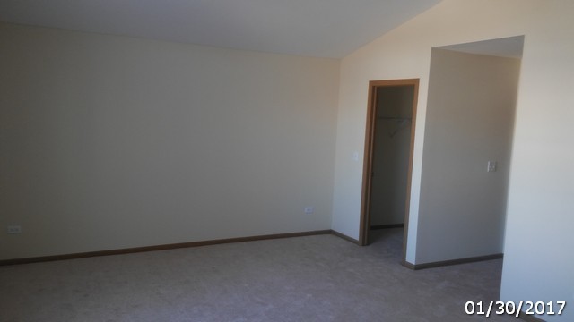 4675 W Tulip Ave, Monee, IL 60449 photo 9