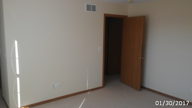4675 W Tulip Ave, Monee, IL 60449 photo 15
