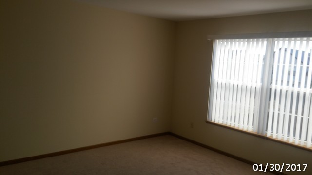 4675 W Tulip Ave, Monee, IL 60449 photo 14