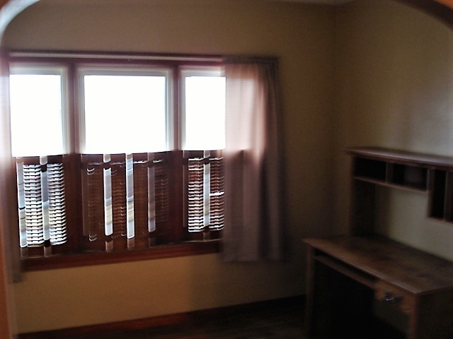 320 W 3rd St, Spring Valley, IL 61362 photo 9