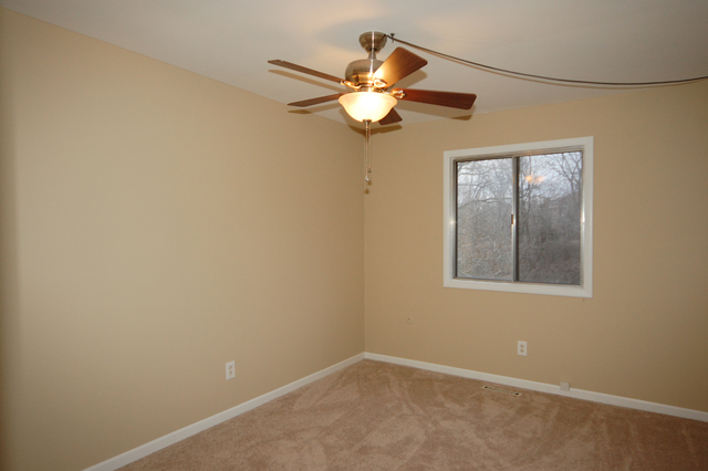20 Cypress Sq, Elgin, IL 60123 photo 11