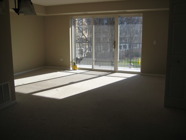 8030 Riverwalk Dr #3D, Lyons, IL 60534 photo 2