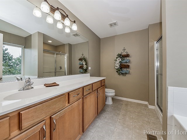 25242 Trelliage Ave, Plainfield, IL 60585 photo 11