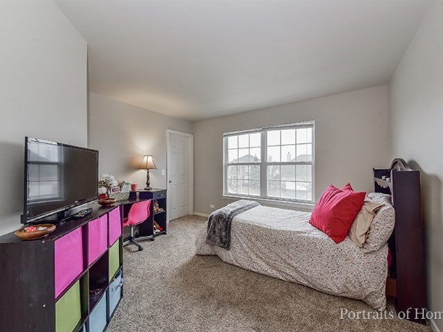 25242 Trelliage Ave, Plainfield, IL 60585 photo 14