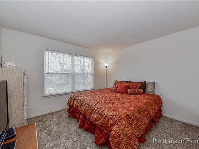 25242 Trelliage Ave, Plainfield, IL 60585 photo 13
