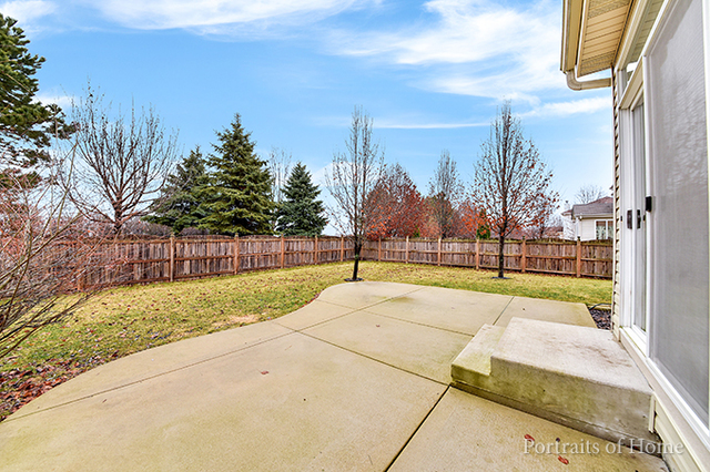 25242 Trelliage Ave, Plainfield, IL 60585 photo 22