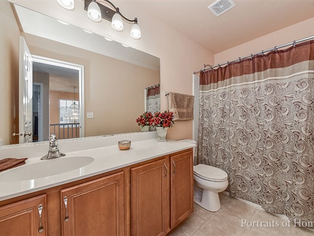 25242 Trelliage Ave, Plainfield, IL 60585 photo 16