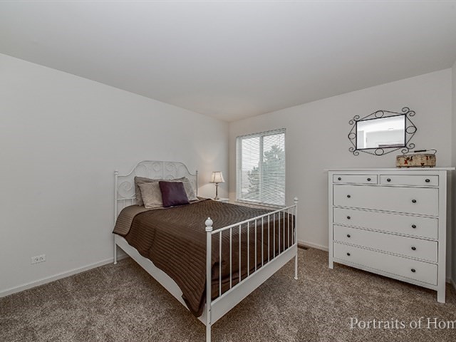 25242 Trelliage Ave, Plainfield, IL 60585 photo 15