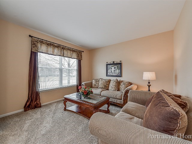 25242 Trelliage Ave, Plainfield, IL 60585 photo 3
