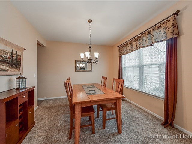 25242 Trelliage Ave, Plainfield, IL 60585 photo 4
