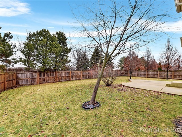 25242 Trelliage Ave, Plainfield, IL 60585 photo 19