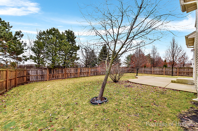 25242 Trelliage Ave, Plainfield, IL 60585 photo 23