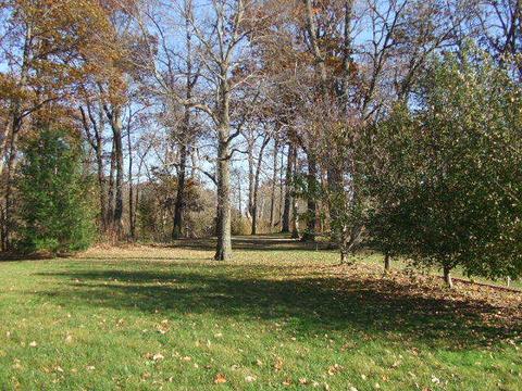 2545 E 1750 North Rd E, Sheldon, IL 60966 photo 3
