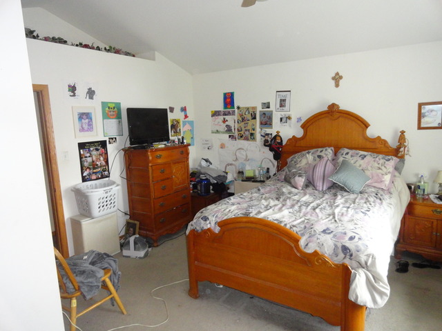 2503 Falls Ct, Plainfield, IL 60586 photo 7