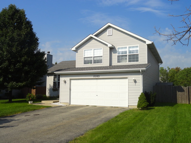 2503 Falls Ct, Plainfield, IL 60586 photo 1