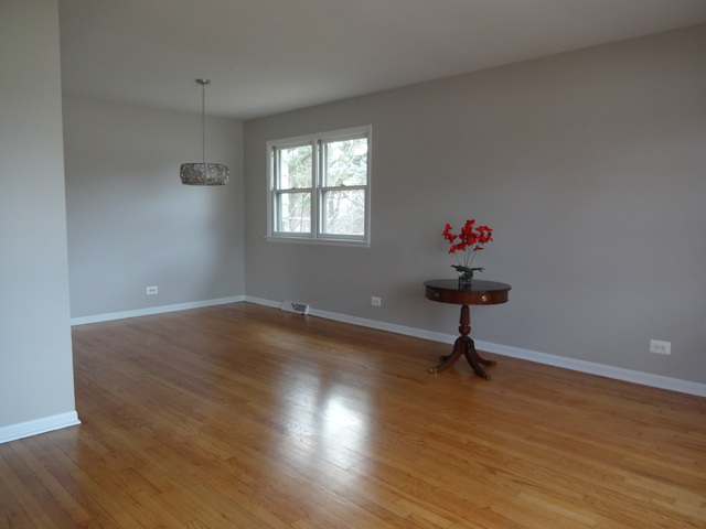 817 Forest Ct, Bartlett, IL 60103 photo 4