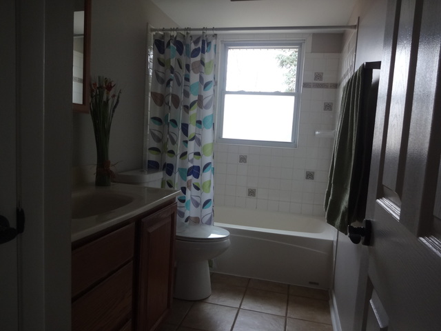 817 Forest Ct, Bartlett, IL 60103 photo 16
