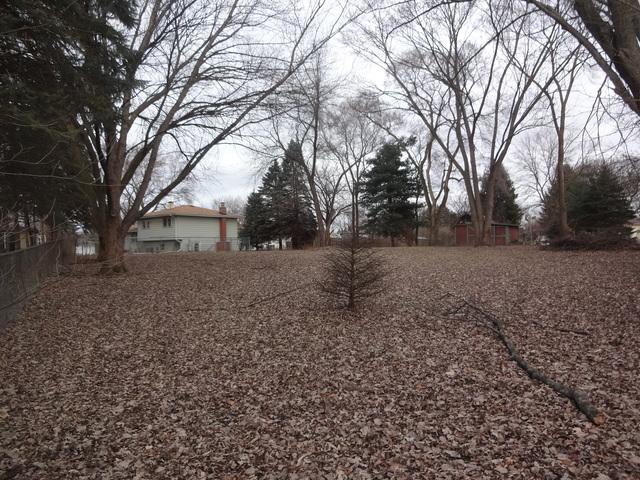817 Forest Ct, Bartlett, IL 60103 photo 23