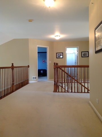 6075 Frank Dr, Hoffman Estates, IL 60192 photo 13