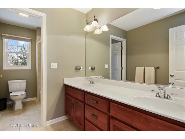 13224 Skyline Dr, Plainfield, IL 60585 photo 18