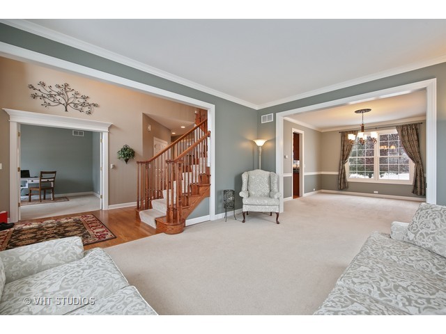 13224 Skyline Dr, Plainfield, IL 60585 photo 8