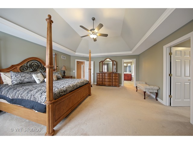 13224 Skyline Dr, Plainfield, IL 60585 photo 12