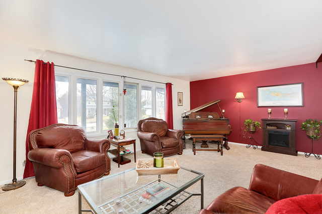 1132 Hidden Spring Dr, Naperville, IL 60540 photo 3
