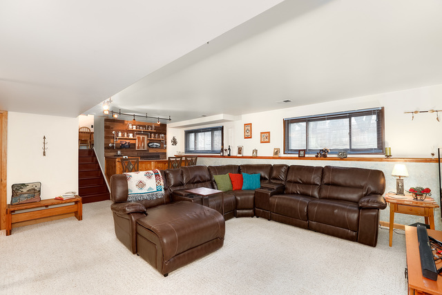 1132 Hidden Spring Dr, Naperville, IL 60540 photo 21