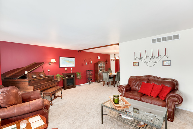 1132 Hidden Spring Dr, Naperville, IL 60540 photo 4