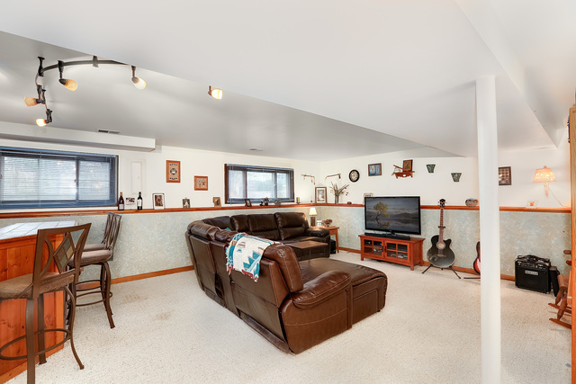 1132 Hidden Spring Dr, Naperville, IL 60540 photo 23