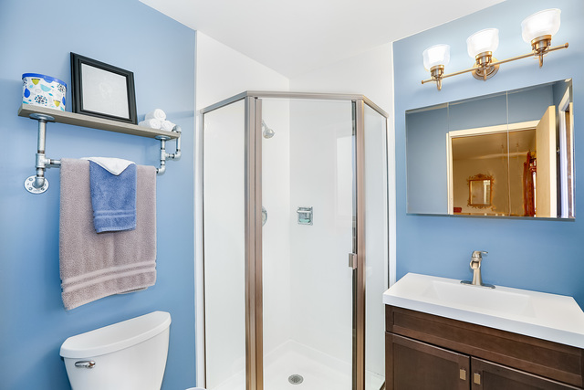 1132 Hidden Spring Dr, Naperville, IL 60540 photo 14