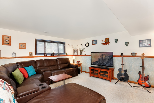1132 Hidden Spring Dr, Naperville, IL 60540 photo 18