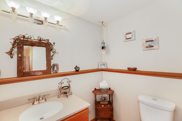 1132 Hidden Spring Dr, Naperville, IL 60540 photo 22