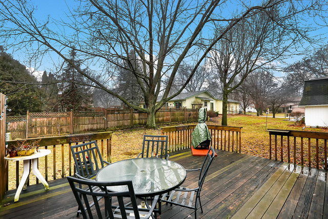 1132 Hidden Spring Dr, Naperville, IL 60540 photo 25