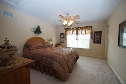 13401 Lindengate Ct, Plainfield, IL 60585 photo 18