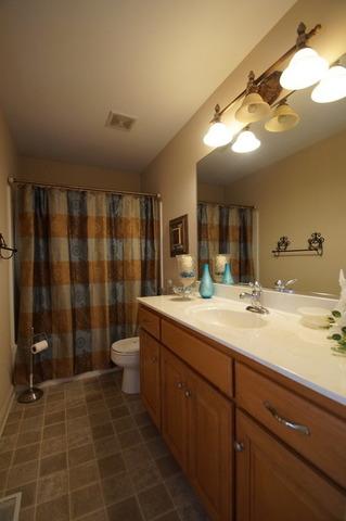 13401 Lindengate Ct, Plainfield, IL 60585 photo 21