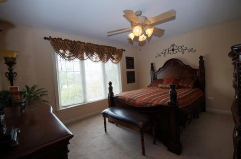 13401 Lindengate Ct, Plainfield, IL 60585 photo 19