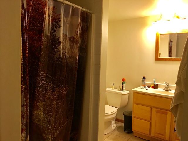 607 Normal Rd, Dekalb, IL 60115 photo 17