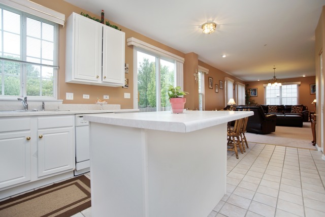 1742 Charles Dr, Wheeling, IL 60090 photo 7