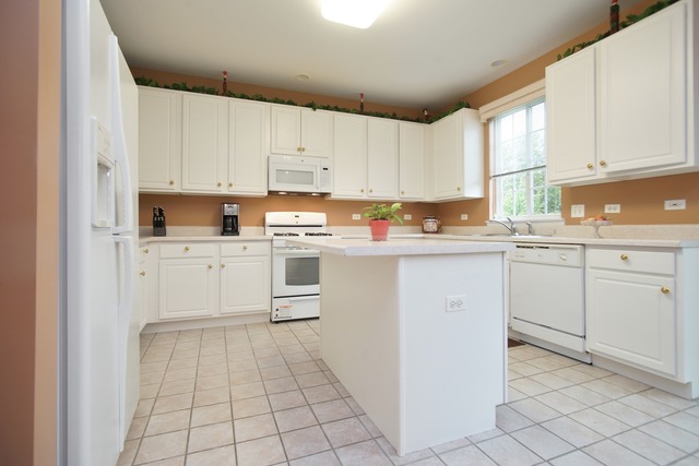 1742 Charles Dr, Wheeling, IL 60090 photo 6
