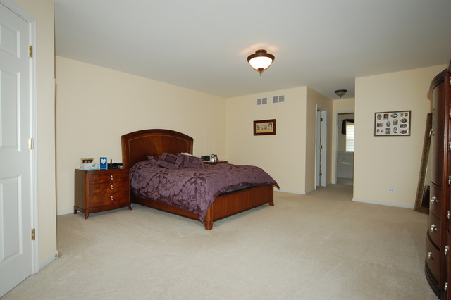 1028 Auburn Ln, Bartlett, IL 60103 photo 11