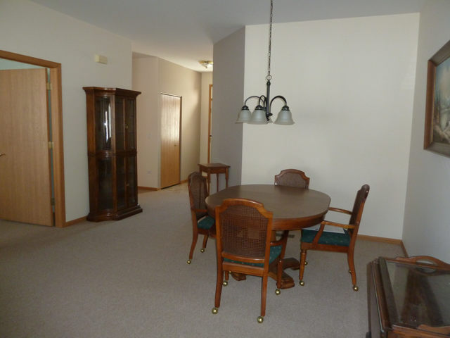 21429 W Douglas Ln, Plainfield, IL 60544 photo 6