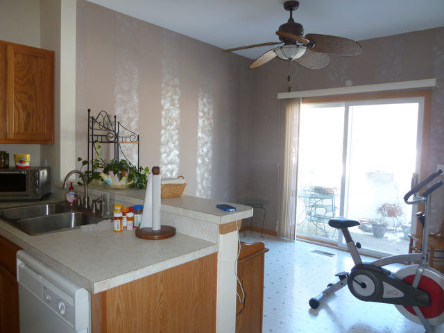 21429 W Douglas Ln, Plainfield, IL 60544 photo 13
