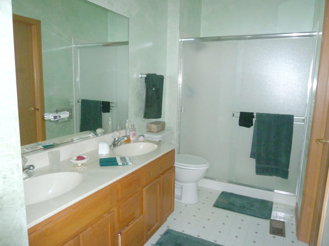 21429 W Douglas Ln, Plainfield, IL 60544 photo 9