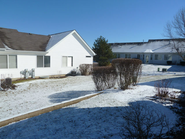 21429 W Douglas Ln, Plainfield, IL 60544 photo 16