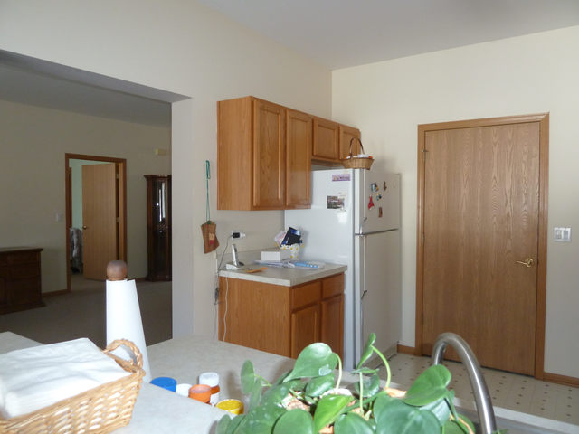 21429 W Douglas Ln, Plainfield, IL 60544 photo 12