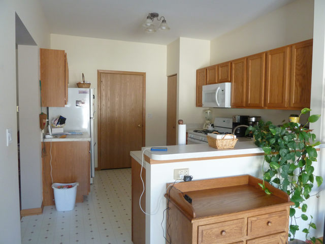 21429 W Douglas Ln, Plainfield, IL 60544 photo 10