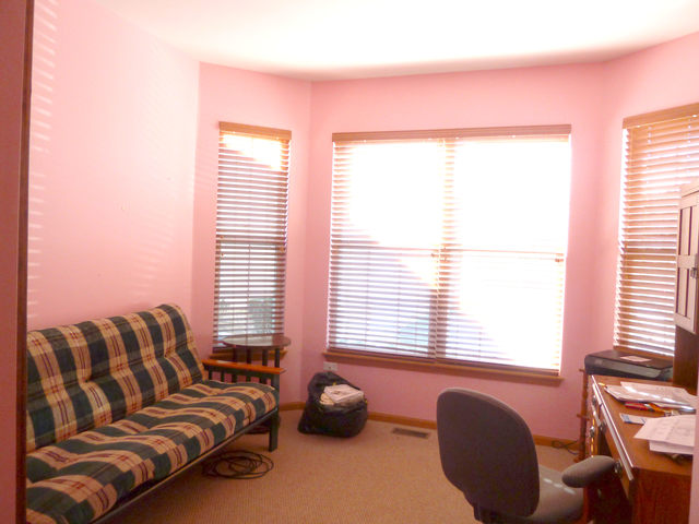 21429 W Douglas Ln, Plainfield, IL 60544 photo 7